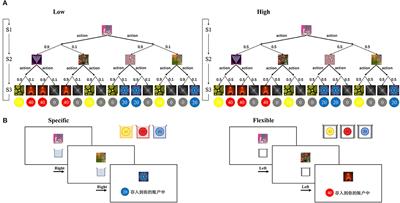 Impairment of arbitration between model-based and model-free reinforcement learning in obsessive–compulsive disorder